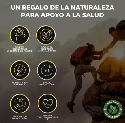2 x 1 GOMAS SHILAJIT Vitalidad y energía natural en cada bocado.