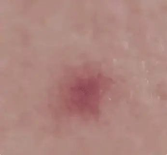 Encabezado