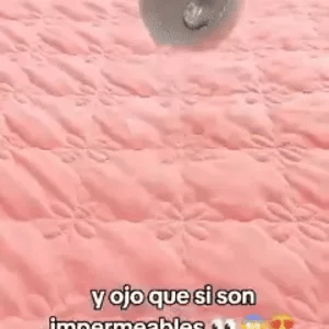 Encabezado