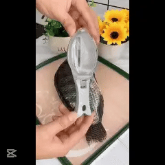 Encabezado