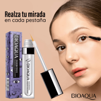 Encabezado
