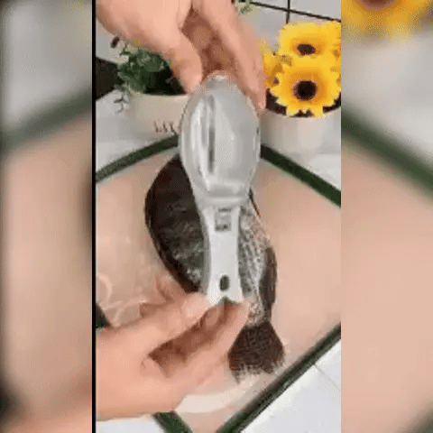 🐟 Descamador Pescado🐟